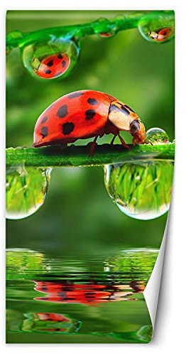 Feeby Fototapete Türtapete Marienkäfer Auf Einem Blatt 100x200 cm Grün Vliestapete Moderne Design Küche Flur Wohnzimmer Büro Badezimmer Kinderzimmer Insekt Natur Wasser