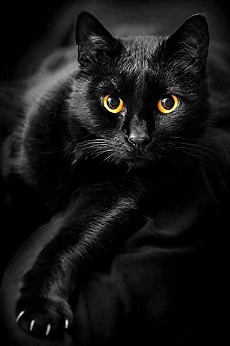 Schwarze Katze - Puzzle 1000 Teile Kreatives Puzzle für Erwachsene Spielzeug Dekompression Anime Geschenke 38x26CM