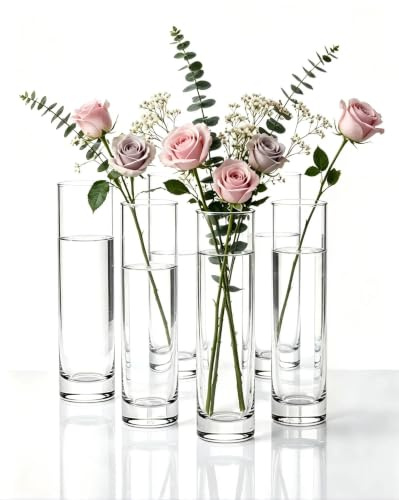 Sawoake Transparente Glasvasen 6er Set - Hohe Zylinder Vase aus Klarglas, Stabile Basis, Ideal für Blumen, Rosen, Wohnzimmer, Hochzeit, Tischdekoration & Modernes Home Decor