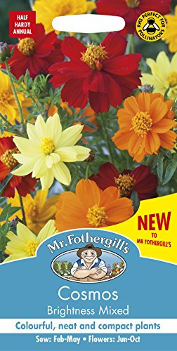 Mr Fothergill’s 14764 Flower Seeds, Cosmos Brightness Mixed