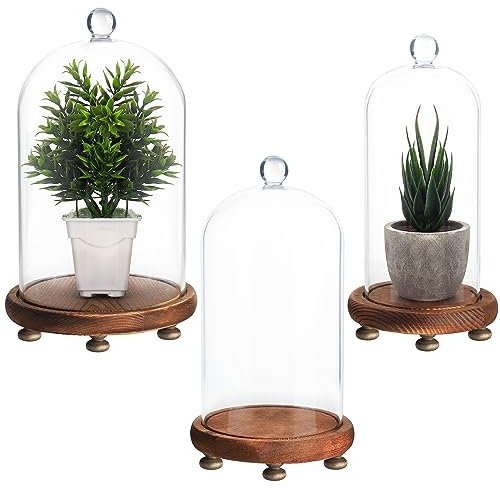 Belle Vous Lot de 3 Cloches en Verre avec Socles en Bois Marron - Petites, Moyennes & Grandes Tailles - Globe en Verre Décoratif Transparent avec Supports pour Guirlande, Centre de Table & Antiquité