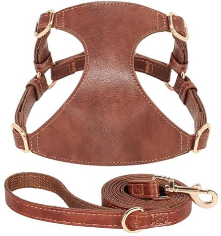 Outdoor Camping Jagd Wasserdicht PU Leder Hundegeschirr Leine Set Hund Katze Brustgeschirr Leine Set Haustier Walking Training Geschirr Weste Für Chihuahua Mops,Kaffee,S