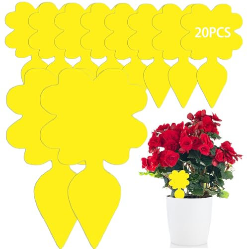 MEGAROOM Anti Moucherons Interieur - 20 Pcs Piège Jaune Double Face Imperméable pour Cuisine et Plantes - Protection contre Moucherons de Terreau et Fuitflies
