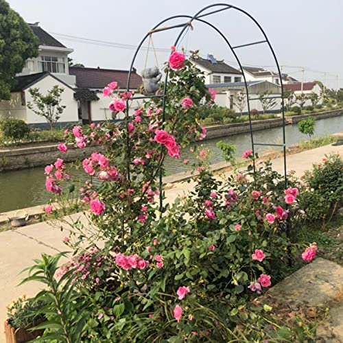 Limone da giardino in metallo, per piante rampicanti, resistente alle intemperie, telaio in acciaio, tralicci, pergola, autoportante, 120 x 220 x 40 cm