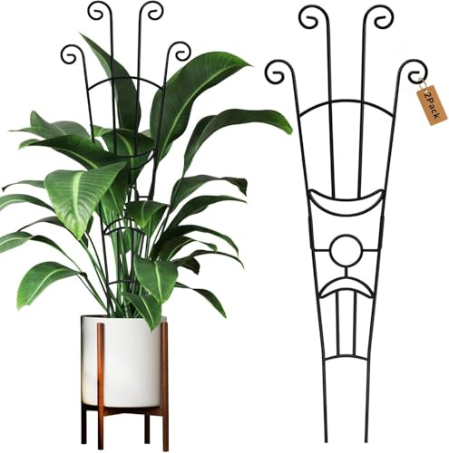 2Pcs Rankgitter 82cm hoch Rankhilfe Pflanzenstütze für Kletterpflanzen, Robuste Metall Pflanzengitter Rankstäbe Pflanzen Stützpfähle für Rosen Clematis Efeutute Monstera Tomaten Topfpflanzen