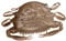Berkley Gulp! Peeler Crab Saltwater Fishing Soft Bait, Natural Peeler, 1in