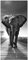 posterdepot Türtapete Türposter Elefant bei Sonnenaufgang in Afrika - Größe 93 x 205 cm, 1 Stück, schwarz/weiß, ktt0127a