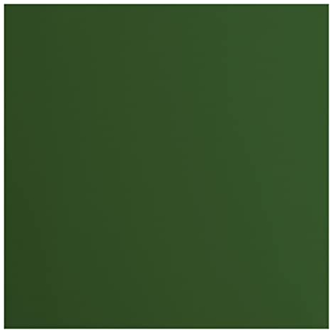 Vaessen Creative Florence Cardstock Papier, Grün, 216 Gramm/m², Quadratisch, 30,5 x 30,5 cm, 20 Stück, Glatt, für Scrapbooking, Kartenherstellung, Stanzen und andere Papierbasteleien