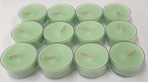 PartyLite 12 Teelichter Grüner Tee Matcha / Green Tea
