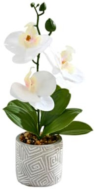 susiodeu Künstliche Orchideen aus Kunststoff, Topfblumen, künstliche Blumen, künstliche Phalaenopsis, künstlich, Weiß
