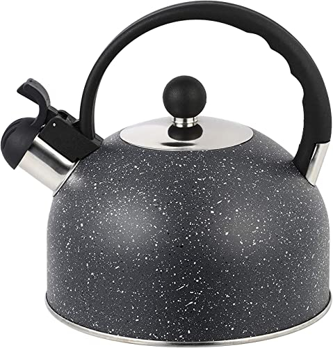 Bouilloire à thé sifflante, bouilloire en acier inoxydable, théière en fonte, service à thé, bouilloire sifflante en acier inoxydable, bouilloire à thé, bouilloire sonore, théière bouillante, cafetièr