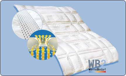 dormabell Zudecke Daunen Edition WB2 WärmeBedarf2 155/220 cm