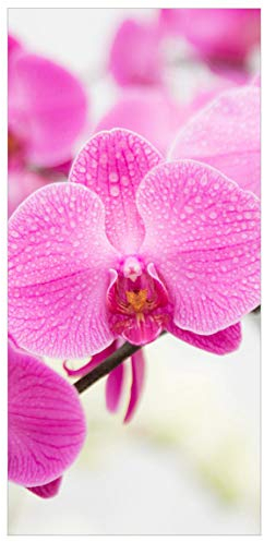 Bilderwelten Raumteiler Nahaufnahme Orchidee 250x120cm ohne Halterung