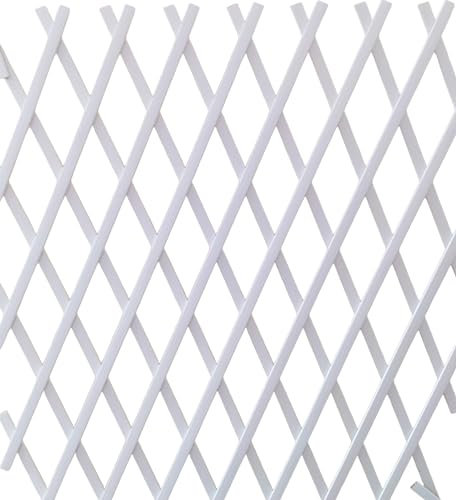 NG NICCOLAI - TRALICCIO ESTENSIBILE IN PLASTICA VARI COLORI E MISURE (1X1 MT, BIANCO)
