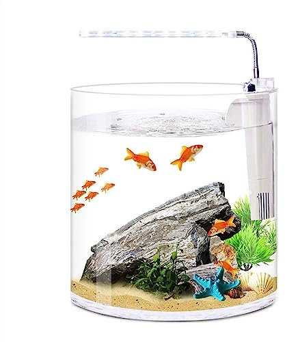 pecera,pecera, Acuario ecológico de escritorio recto, pequeño, bonito, transparente, redondo, de cristal, for el hogar, la sala de estar, la oficina, filtro de luz LED, pecera(M)