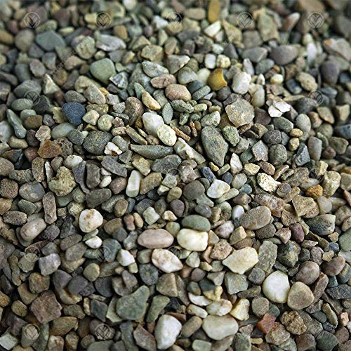 GardenersDream Natural Aquatic Fish Gravel - Premium and Decorative Tank Stones (20kg, Round)