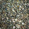 GardenersDream Natural Aquatic Fish Gravel - Premium and Decorative Tank Stones (20kg, Round)