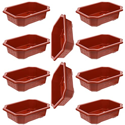Happyyami Lot de 10 Pots d'entraînement pour bonsaï - Pot de Culture - pour Jardin, Cour, Chambre à Coucher, Balcon