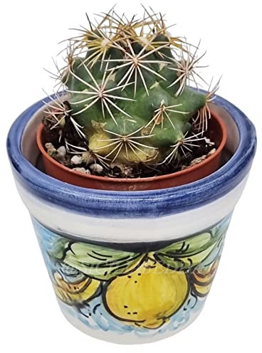 Sicilia Bedda - VASO MIGNON IN CERAMICA SICILIANA - CON PIANTINA GRASSA INCLUSA - Prodotto Artigianale di Qualità (Decoro Limoni Blu)