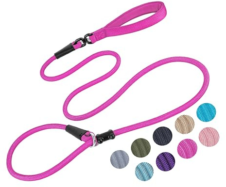 Slip Lead Dog Leash Strong Nylon Rope Leash with Comfortable Handles and Walking Training Lead for Small Medium Large Dogs (Fuchsia, 1/2×6ft)