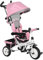 HOMCOM Triciclo Evolutivo para Bebés 6 en 1 Triciclo para Niños de 1-5 Años Bicicleta para Niños con Toldo Plegable Mango Telescópico Desmontable Cinturón de Seguridad y Cesto 95x50x106 cm Rosa