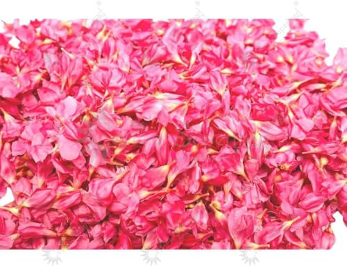 Ceylon Supermart Fresh Pink Oleander Flowers Arali 500g