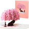 CNLITIHEKA Kirschblüten-Pop-Up-Karte, Valentinstagskarte, Glückwunschkarte, Glückwunschkarte, Hochzeitskarte, Thinking of You, Geburtstagskarte für Sie und Ihn, mit Umschlag und Blanko-Notiz