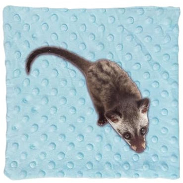 Kuscheldecke, für kleine Tiere, weich, Hamsterkäfig, kuschelige Handtowel, 29 x 40 cm, warm, bequem, waschbar, Haustierschlafkissen für Chinchilla, Hedgehog, Guinea Pig