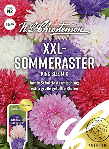 XXL- Sommeraster King Size Mix Samen, Saatgut