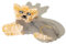 Nordstral Haarklammer Hund Yorkshire Terrier - Haarklammer groß in 8 x 4,5 cm, Haarspangen Damen und Haarspangen Mädchen