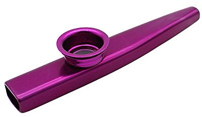 Nettoppo Aluminiumlegierung Metall mit 5 StüCk Geschenk FlöTe Diaphragma für Kinder Musik Liebhaber Lila