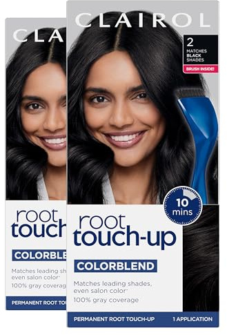 Clairol Root Touch-Up by Nice'n Easy Permanent Hair Dye, 2 Black Hair Color| 100% Gray Coverage | Easy Brush Application | Matches Professional Salon Shades | Pack of 2