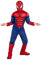 RUBIES - SPIDER-MAN - Marvel officiel - Déguisement pour enfant de luxe Spider-Man. Taille 5-6 ans. Costume avec combinaison aux muscles rembourrés + cagoule attache velcro + couvre-bottes intégrés