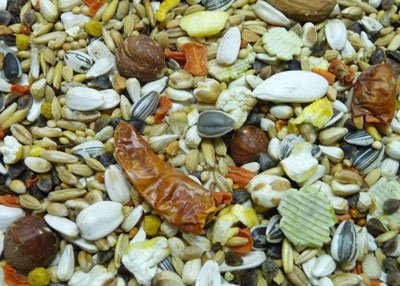 Witte Molen Papageienfutter Premium , 3 kg