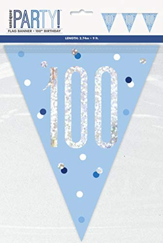 Unique 83446 Blue Dots Prismatic 100th Birthday Plastic Pennant Banner, 9 Ft 1 Pc, Age 100