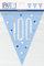 Unique 83446 Blue Dots Prismatic 100th Birthday Plastic Pennant Banner, 9 Ft 1 Pc, Age 100