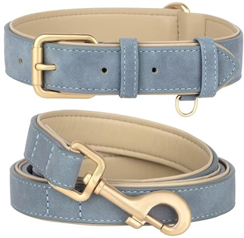 Beirui Weich gepolstertes Hundehalsband und Leine, Set aus robuster Hundeleine und Halsband mit Metallschnalle, atmungsaktives Haustierhalsband mit 122 cm Leine für kleine Hunde (Blau, Halsumfang 25,4