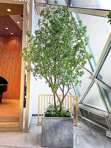 erkebspm Arbre Artificiel Cheval Ivre Bois Simulation Arbre pour La Décoration Intérieure Oliviers D'intérieur Arbre Artificiel D'intérieur - Faux Olivier, Faux Olivier Faux Arbres Arbre