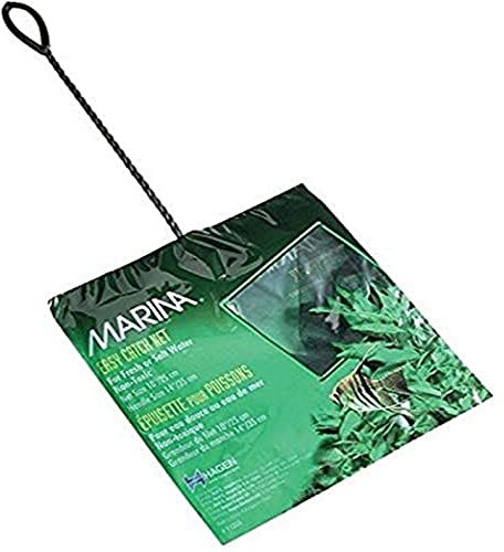 Marina Mincioc Verde 25 Cm