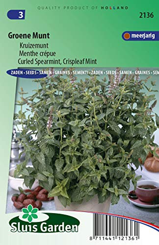 Spearmint Curled, Crispleaf Mint Seeds