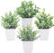 Koksi 4-Pack Artificial Countertop Plant with Pots - Realistic Green Plants Flowers - Indoor & Outdoor Faux Greenery for Home Decoration, Living Room, Bedroom (4-Pack Countertop)