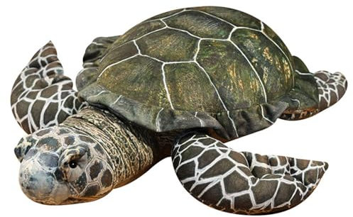 champracer Groß Kuscheltier Schildkröte Spielzeug Plüschtier,weiches Kuschelkissen mit Jumbo-Schildkröte,Schildkröte Dekokissen für kuschelecke Kinderzimmer Schlafzimmer Deko (35cm)