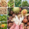 15 pcs Walnuss, Juglans regia, extrem winterharte kübelpflanzen, seeds Juglans regia - Walnussbaum Samen - indoor gewächshaus, winterharte pflanzen stauden winterhart mehrjährig, bonsai