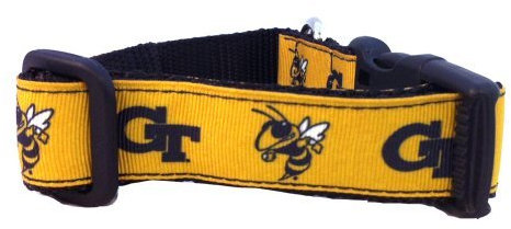 All Star Dogs NCAA Georgia Tech Hundehalsband, Gelb, Größe L