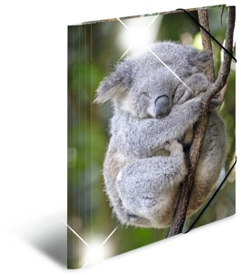 HERMA Sammelmappen A4 Koala Set, 3 Stück, Kinder Eckspanner-Mappen aus Kunststoff mit Tier Motiv, Hochglanz-Optik, Gummizug, Innenklappen und Innendruck für Jungen und Mädchen