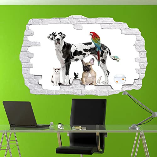 Wandtattoos DIY Wandkunst Aufkleber Wandbild Pets Shop Hunde Katzen Vögel Wandaufkleber Wandbilder Aufkleber 3D Art Room Shop Decor -50x70 cm