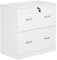 Vinsetto Cajonera de Oficina con 2 Cajones para Carpetas Colgantes con Cerradura y 2 Llaves 74x42x72 cm Blanco