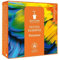 BIOTURM festes Shampoo Volumen 100 g