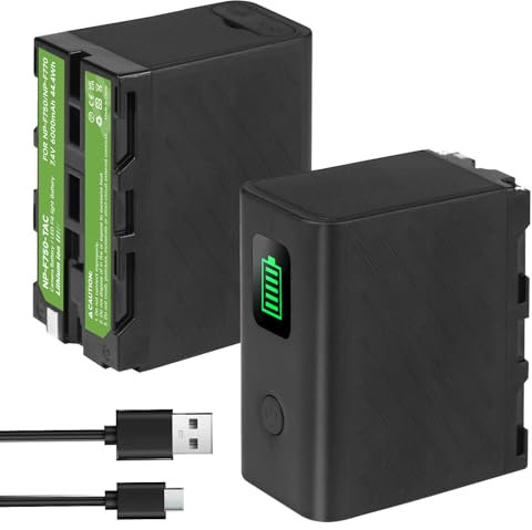 Palogreen NP-F750 6000mAh USB-C Direktladefähige Akku für Sony NPF F980 F970 F960 F930 F770 F750 F550, Sony CCD-TRV815,DCR-TRV9,CCD-TR3,CCD-TRV82,DCR-TRV900,CCD-TR3000,CCD-TRV85,DCR-VX200,CCD-TR3300