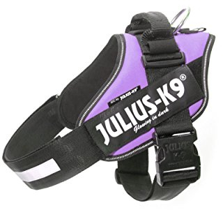 JULIUS K-9 IDC Powergeschirr, Größe: 2XL/3, Lila 16IDC-C-0